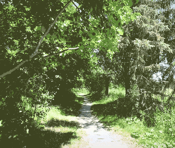 New Kleinburg Nature