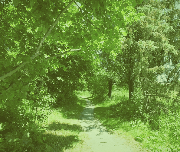 New Kleinburg Nature